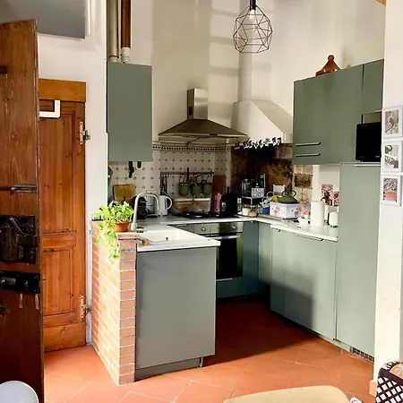 Casetta Con Giardino In Santo Spirito * 피렌체